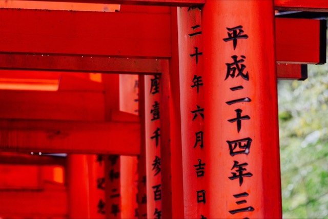 Striking image of traditional red Torii gates with Japanese Kanji inscriptions, capturing cultural heritage.