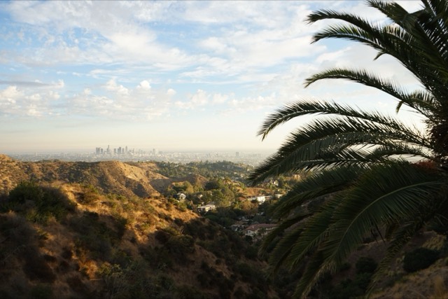 A stunning view of Los Angeles skyline from a hilltop with palms and clear sky.