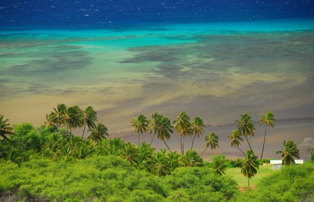 Maui